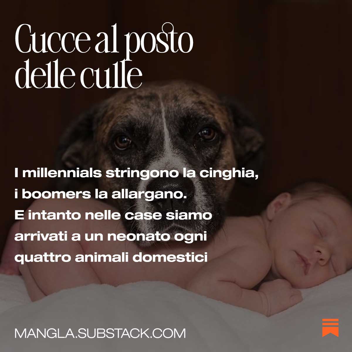 ➔ mangla.substack.com/p/cucce-al-pos…
Consumi fermi da 17 anni, ma la spesa si spacca: maturi e anziani che puntano su yogurt, kefir e avocado, e famiglie giovani con figli che tagliano perfino l’olio d’oliva. E intanto nelle case siamo arrivati a un neonato ogni quattro animali domestici