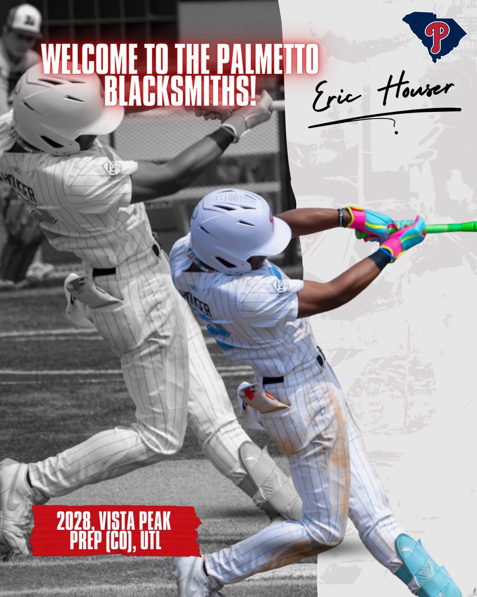 Palmetto Blacksmiths Baseball tweet media