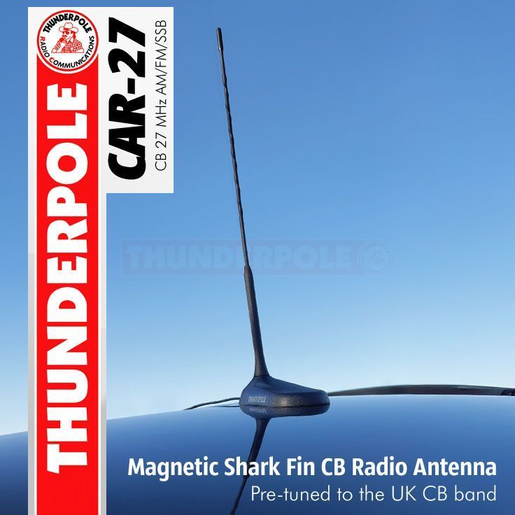 Thunderpole tweet media