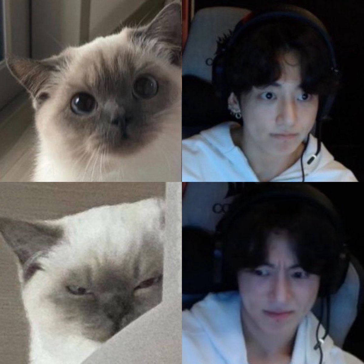 𝙈𝙖𝙮 (rest) (@mainpopstar_) on Twitter photo 