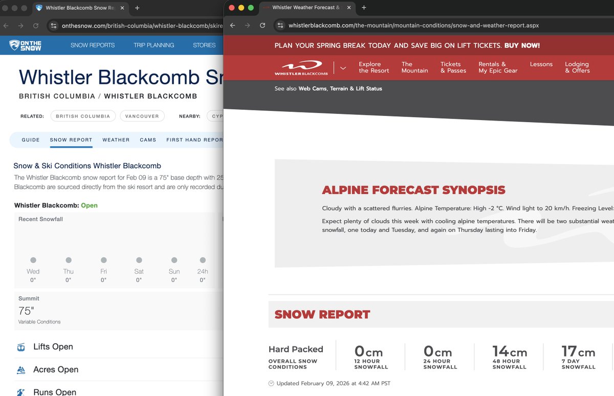 Alex Black tweet media