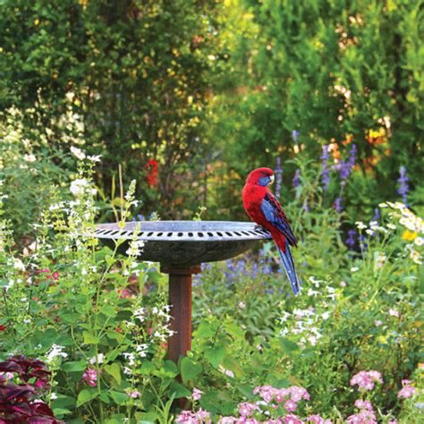 🐻 ☘️ PAWPAW RAY & BABIES ☘️ 🐻 tweet media