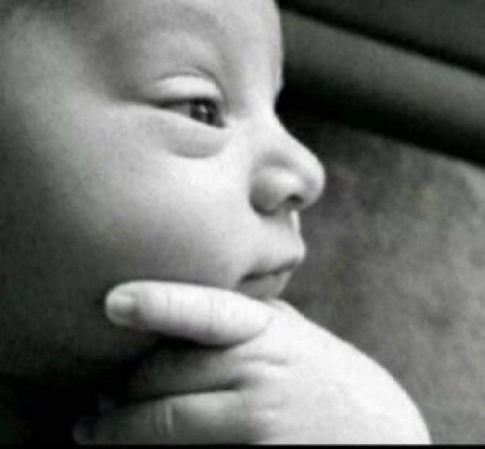 AlmightyZoro tweet media