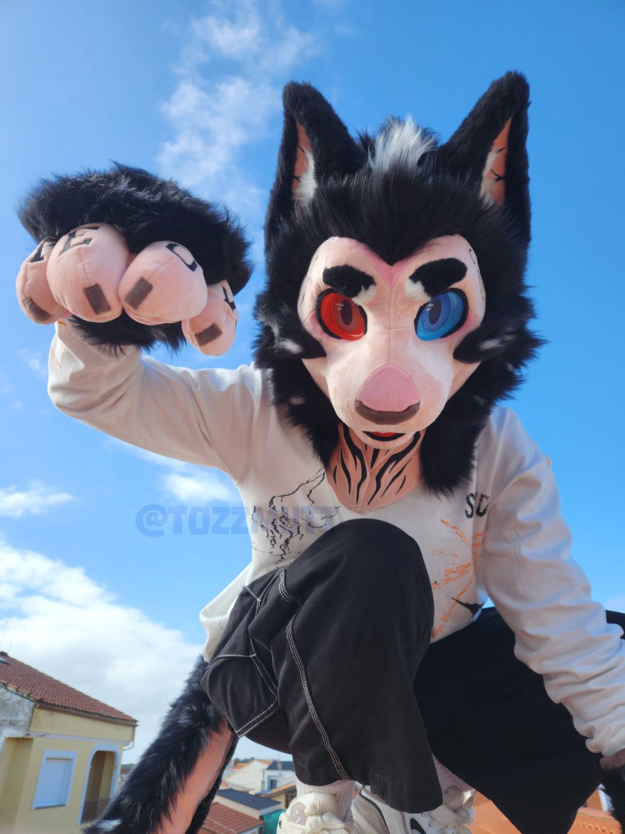 Tozz 🥚 🔜 Ibercon tweet media