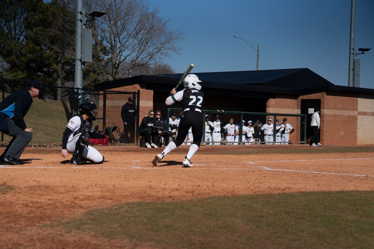 Ohio Softball tweet media