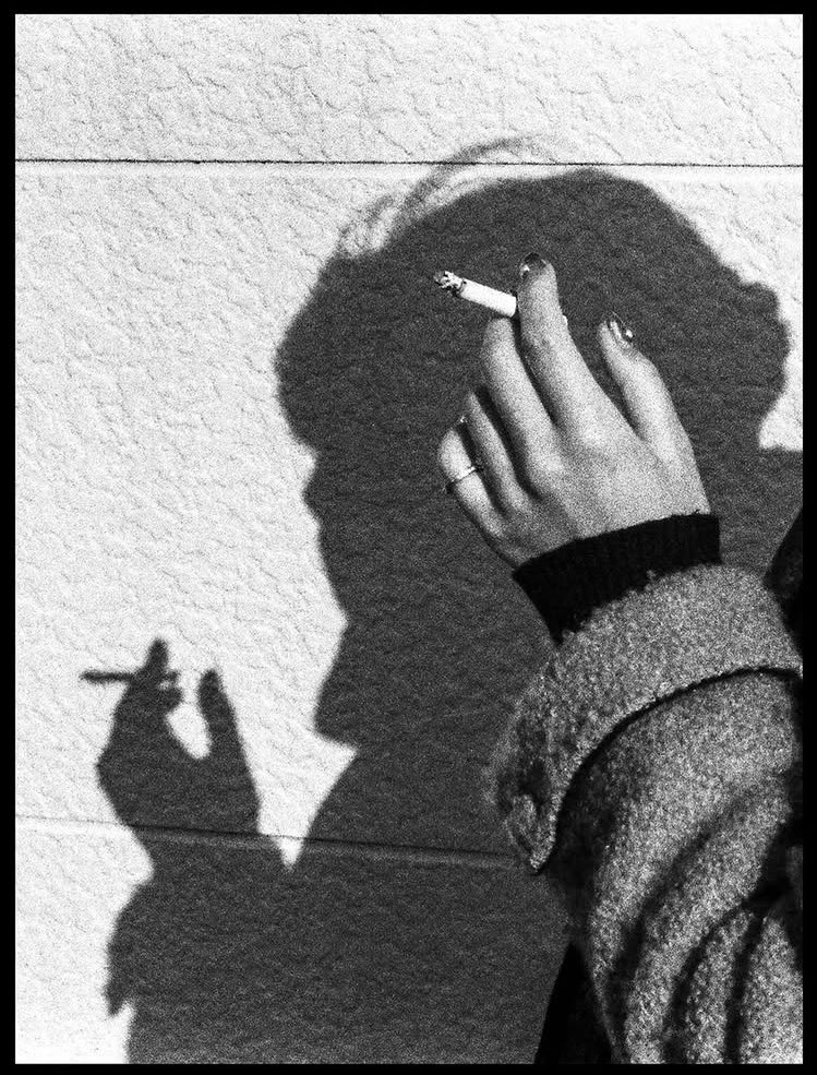 marysocontrary tweet media