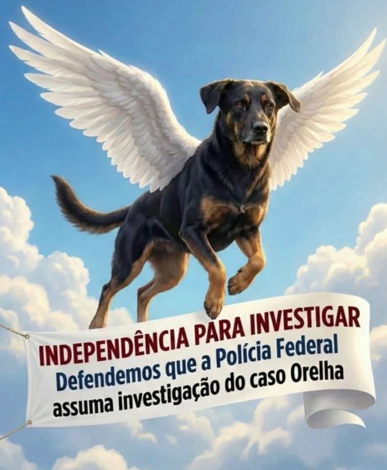 Resistência - Brasil 🇧🇷 (@resist_brasil) on Twitter photo 