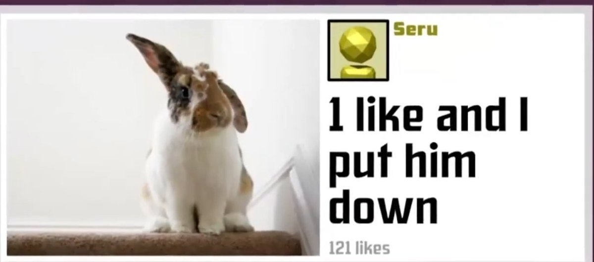 seru 🍉 (@seru1a) on Twitter photo 