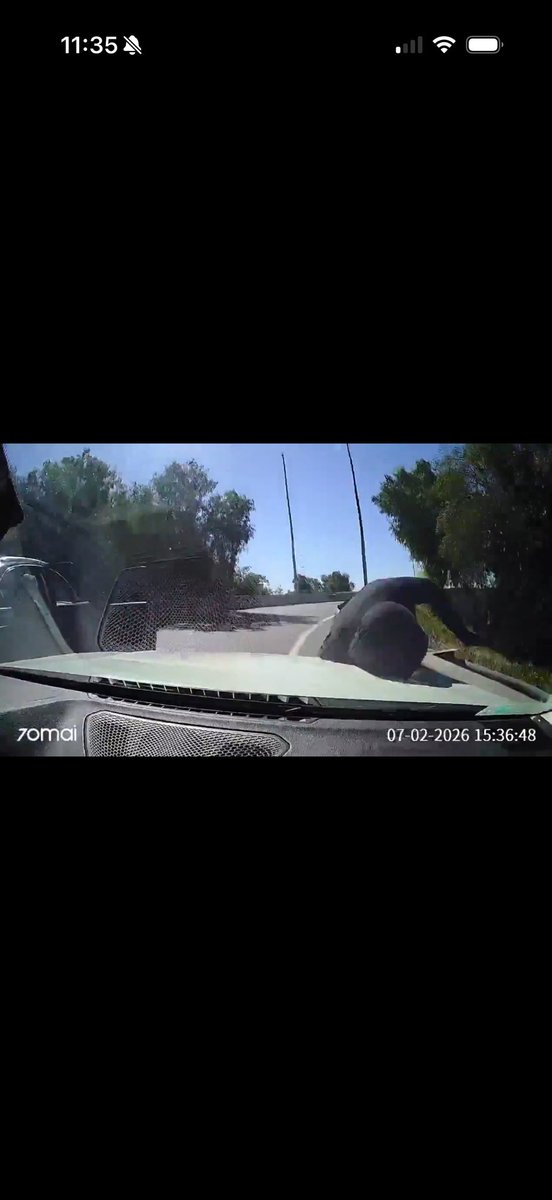 Now THAT is going to leave a mark 🤣🤣🤣