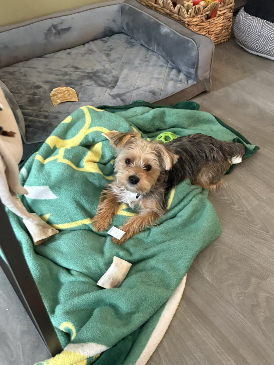 NBAGirl78 tweet media