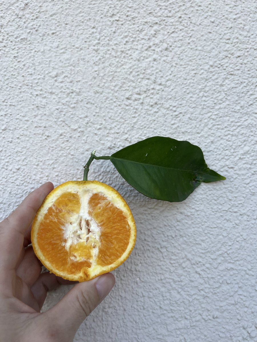 Michael Yuasa tweet media