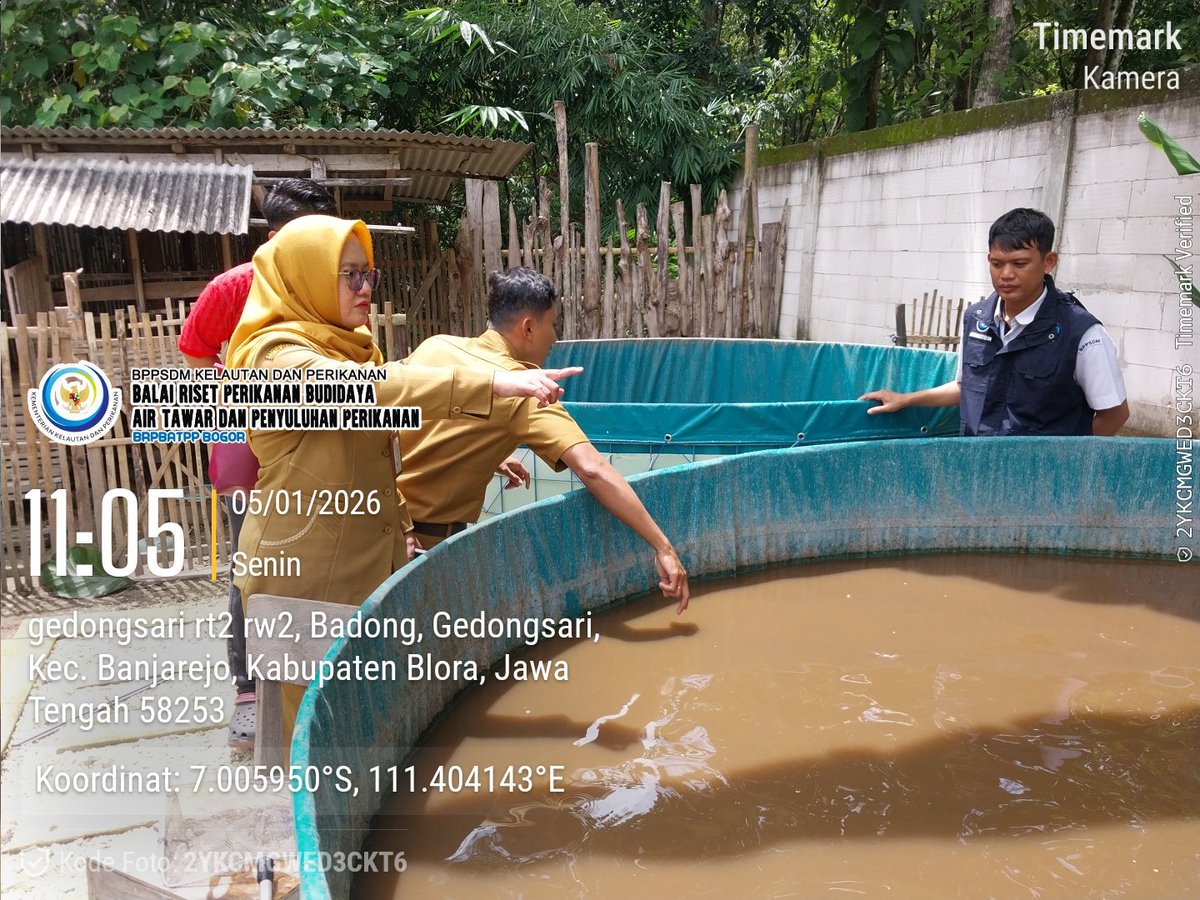 Firman_discuss's tweet photo. Senin(5/1/26l026) Luhkan Blora Muhammad Firman melaksanakan monitoring kesehatan ikan dan kualitas air di unit usaha budidaya ikan Pokdakan Badong Dadi Mulyo Tiga https://t.co/6O54g1xfS5