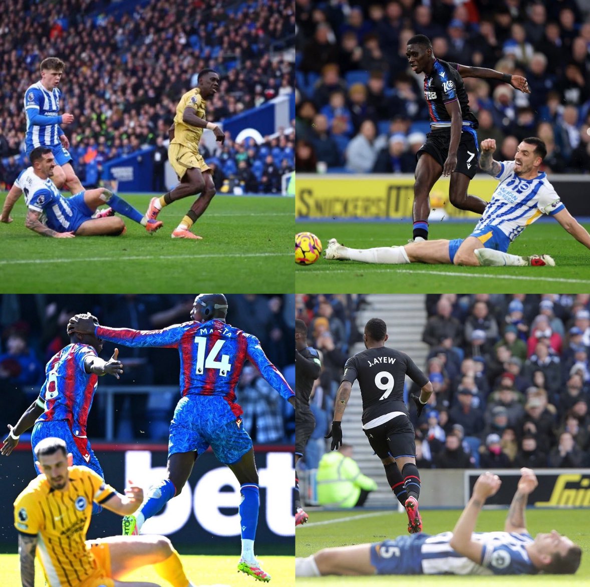 The Palace Addiction tweet media