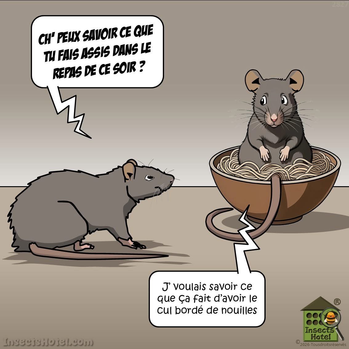 Petit sourire de 18h30 😉😂