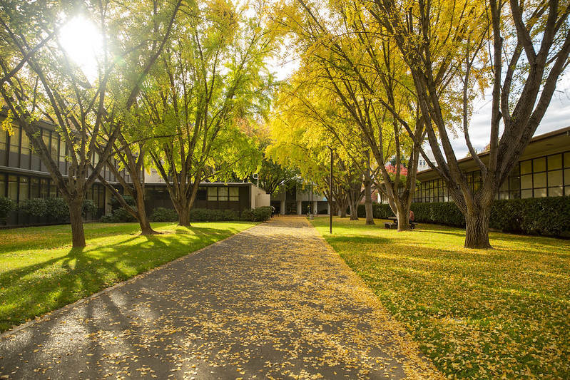 EdInsights tweet media