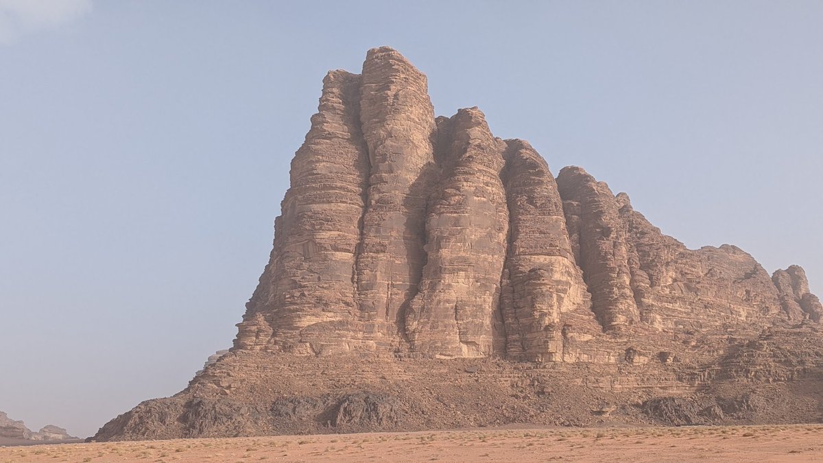 Paul Lee tweet media