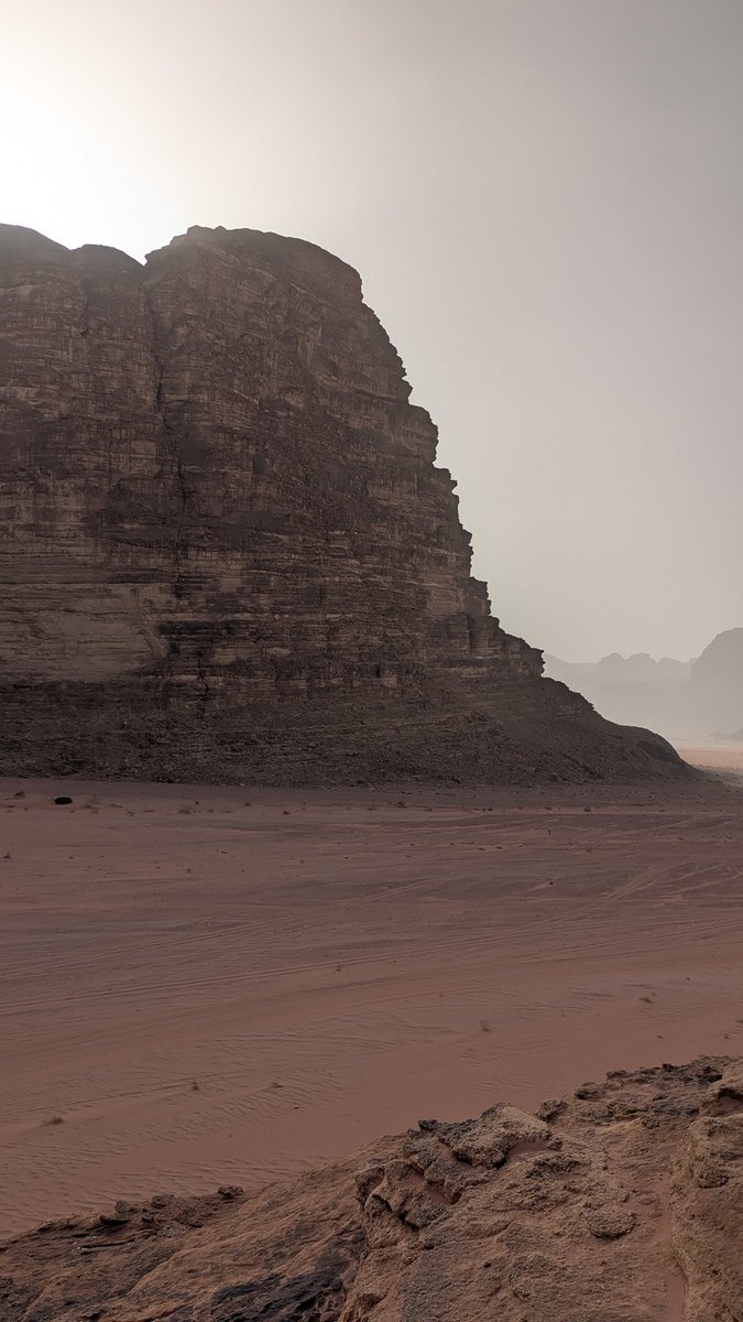 Paul Lee tweet media