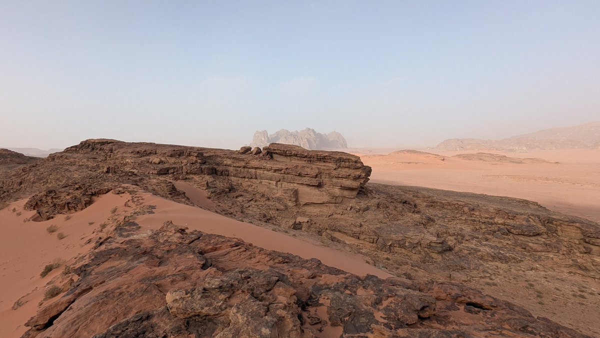 Paul Lee tweet media