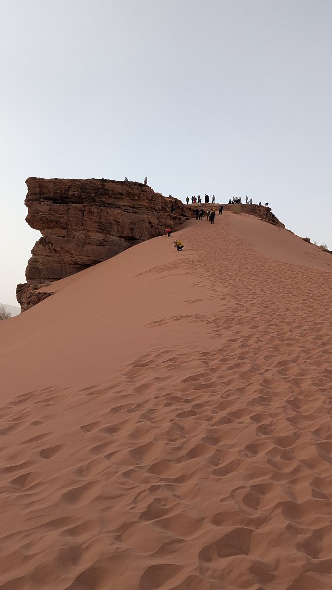 Paul Lee tweet media