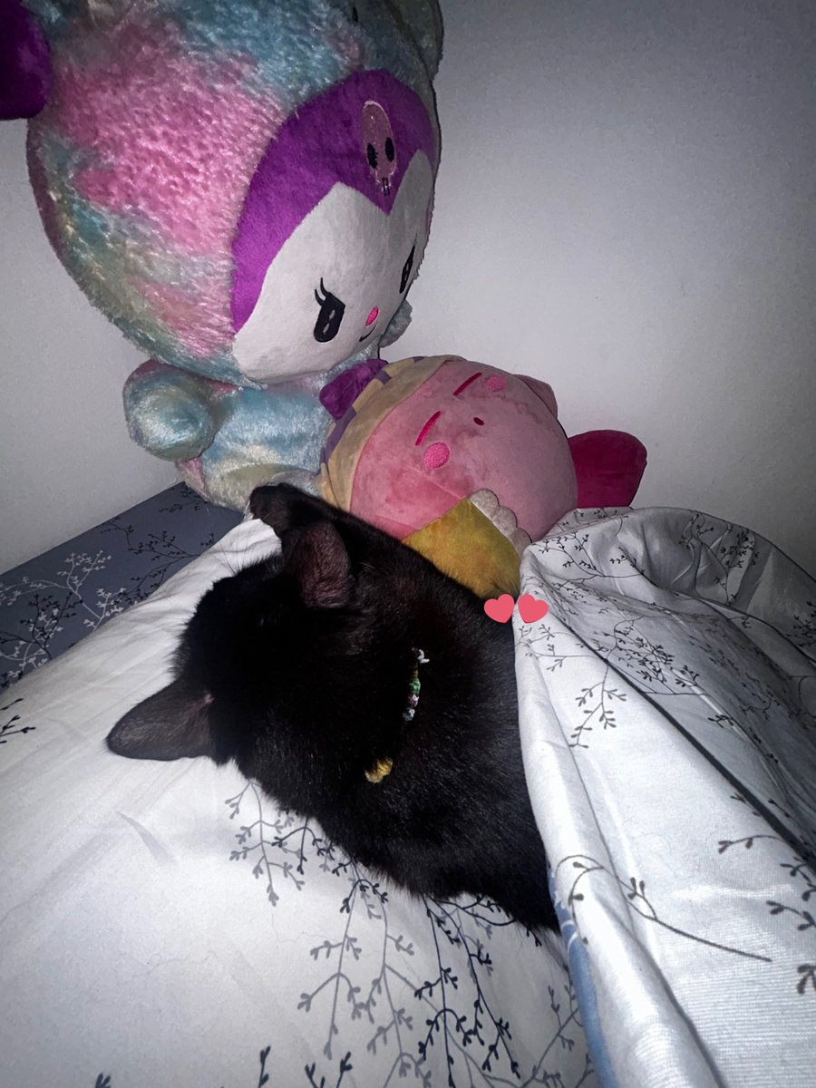 macam ikut patungan bayar kost dan listrik ku tengok dia nyaman tidur pakai bantal dan selimut juga