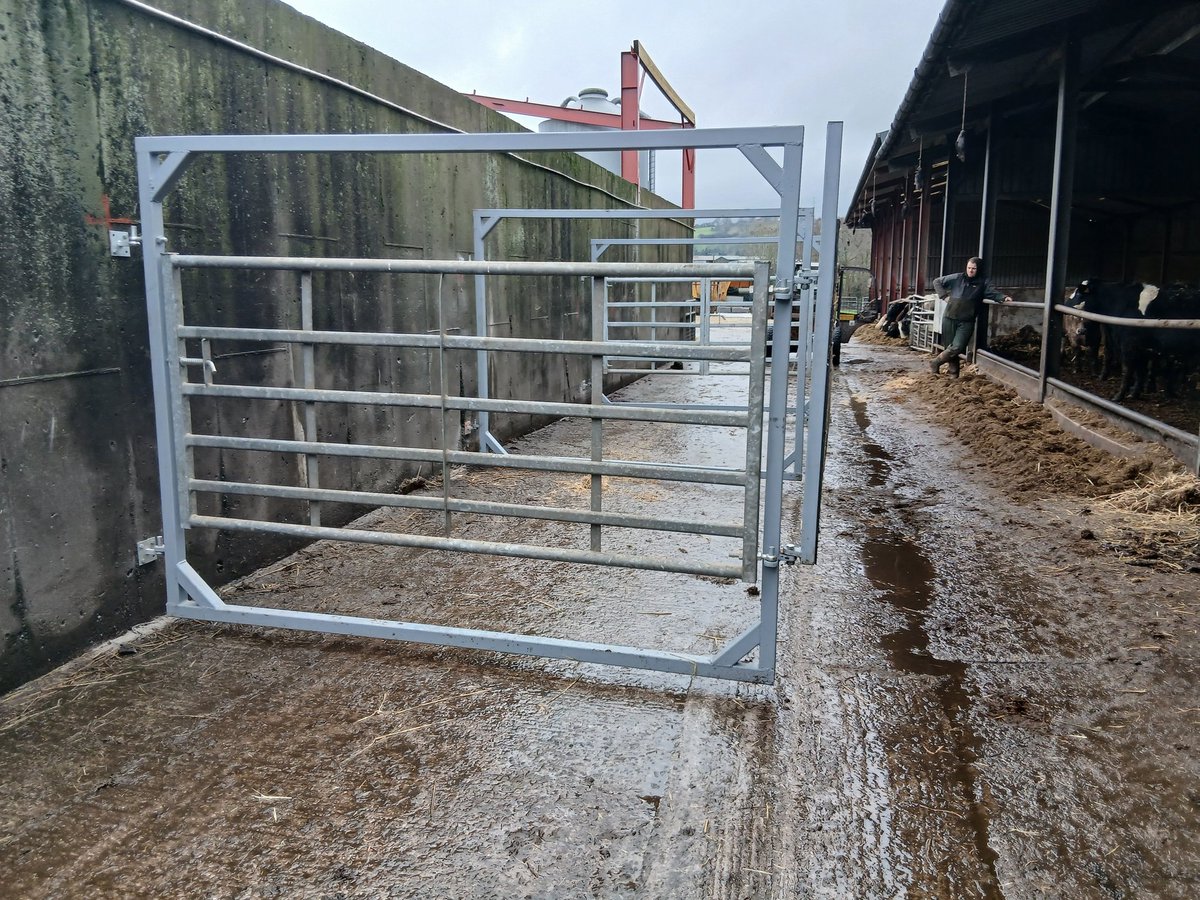 Daniel Roberts tweet media