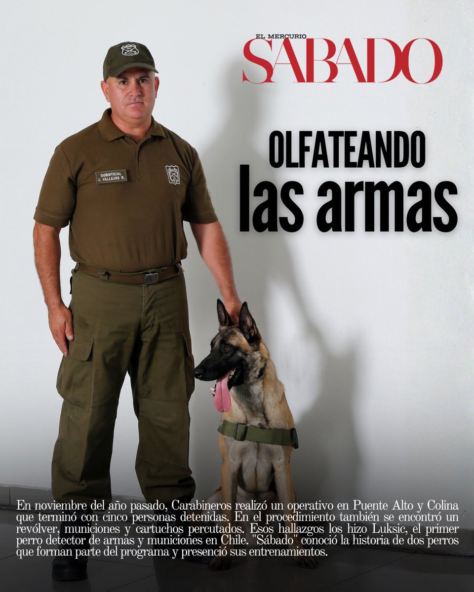Revista Sábado tweet media