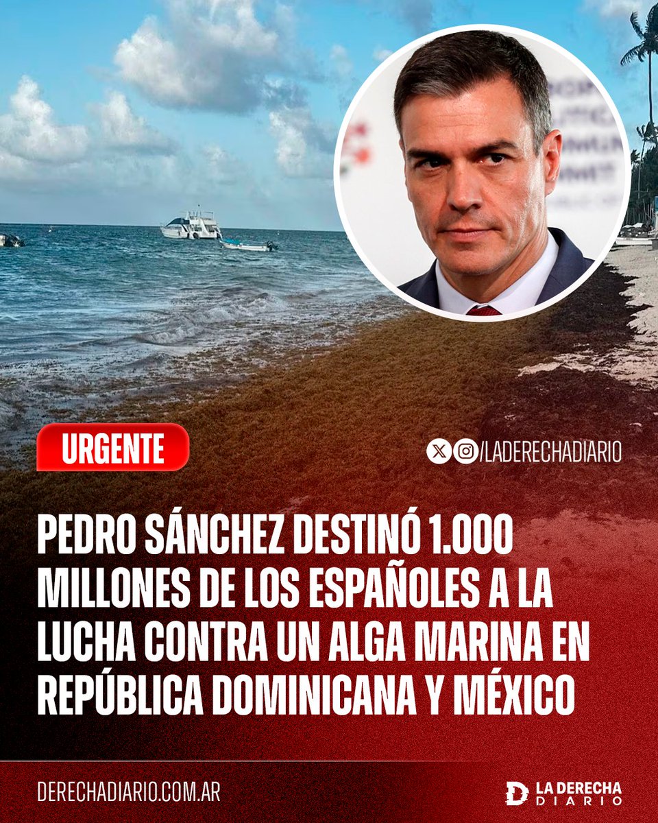 🚨🇪🇸🇲🇽🇩🇴 | ACÁ LAVAN GUITA: El Gobierno corrupto de Pedro Sánchez destina casi 1.000 millones de los españoles a la lucha contra un alga marina en República Dominicana y México para "proteger el medio ambiente".