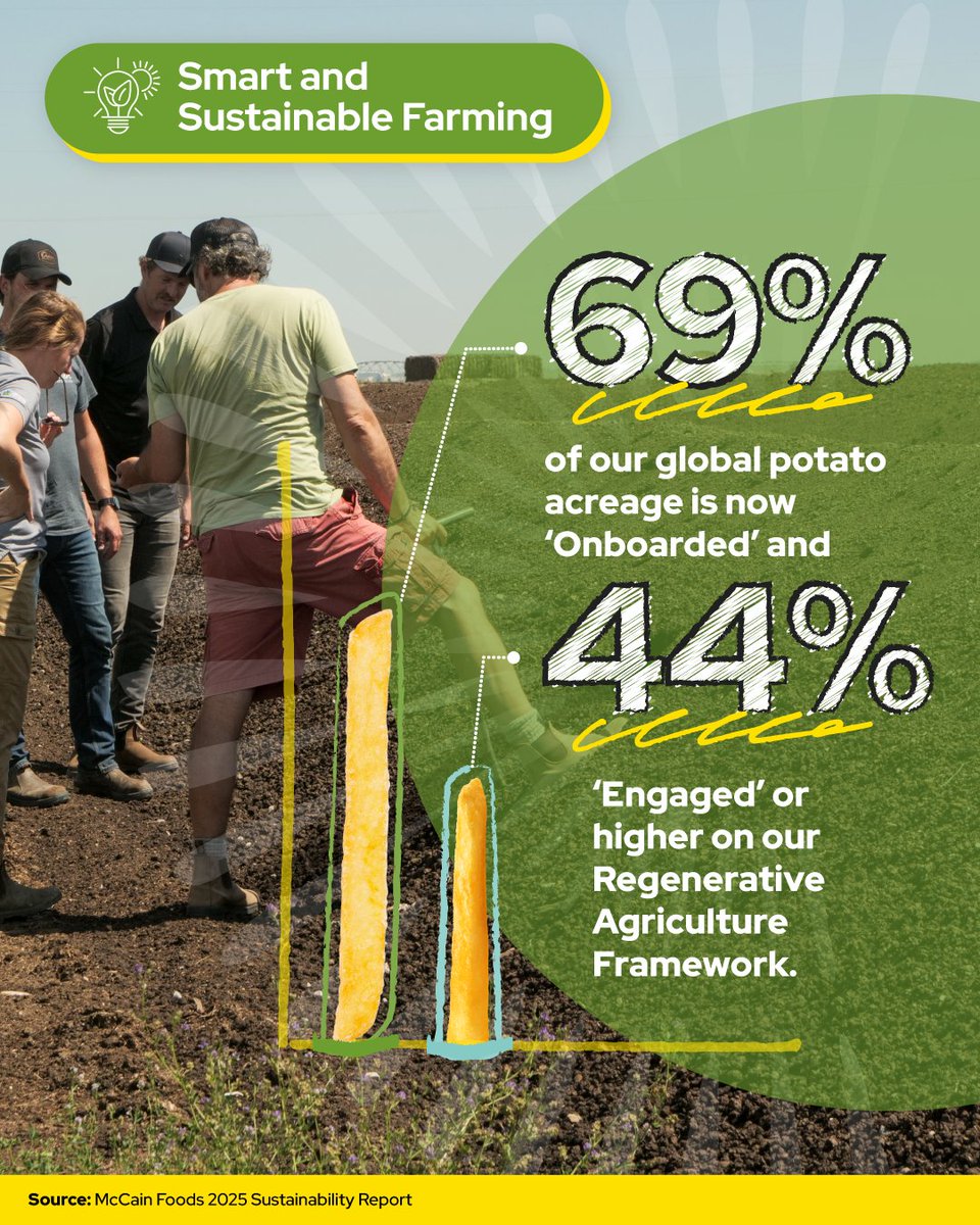 mccainglobal's tweet photo. 🥔 Progress starts in the field.

Since 2022, 69% of our global potato acreage has been ‘Onboarded’ and 44% are ‘Engaged’ or higher on our Regenerative Agriculture Framework.

🔗Learn more in our 2025 Sustainability Report: https://t.co/hoRVGzzNfS

#WeAreMcCain https://t.co/1FjzSgkBHF