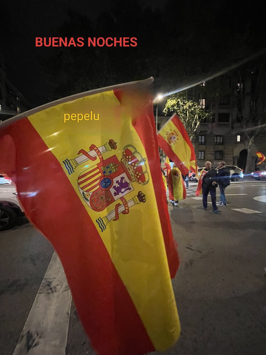 A todos los compatriotas de derechas, afiliados, simpatizantes,
y votantes de VOX.
Arriba España, viva VOX.