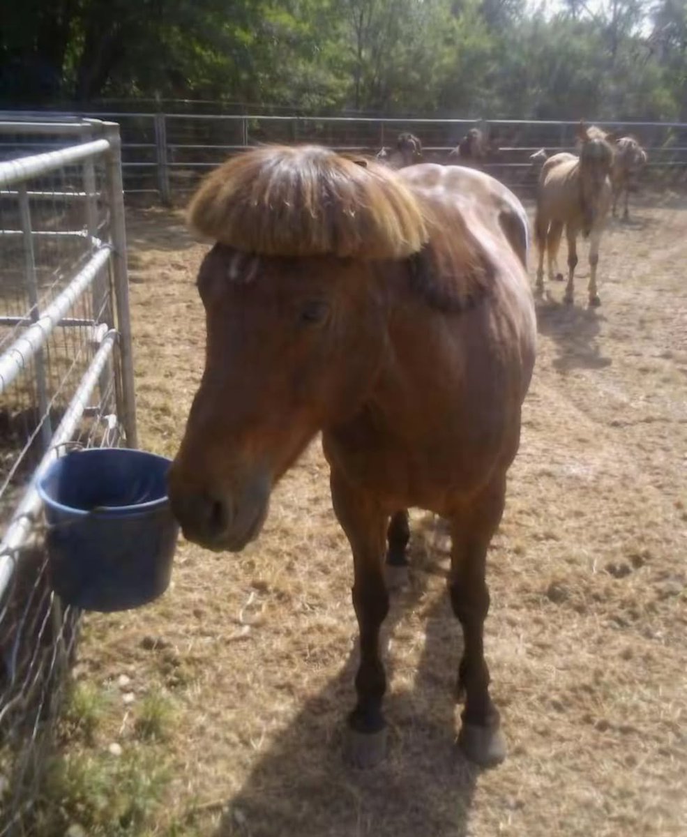 tokkami's tweet image. just got a #freshfade what are we thinking?