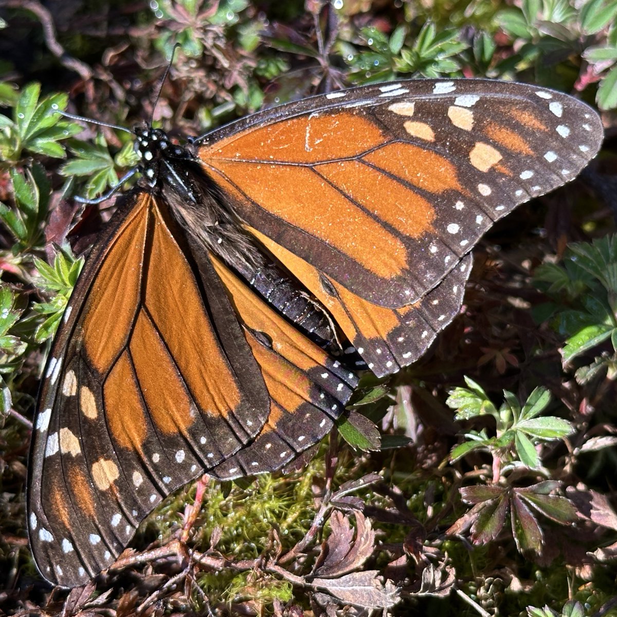 Tim Jukes tweet media