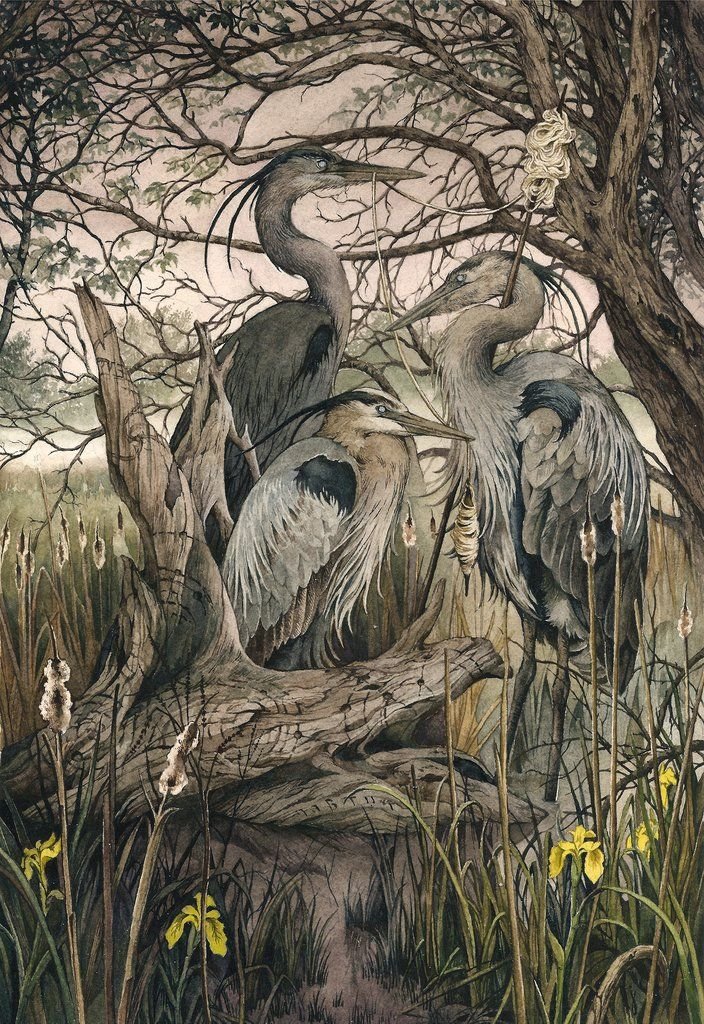Tree_Folklore tweet picture
