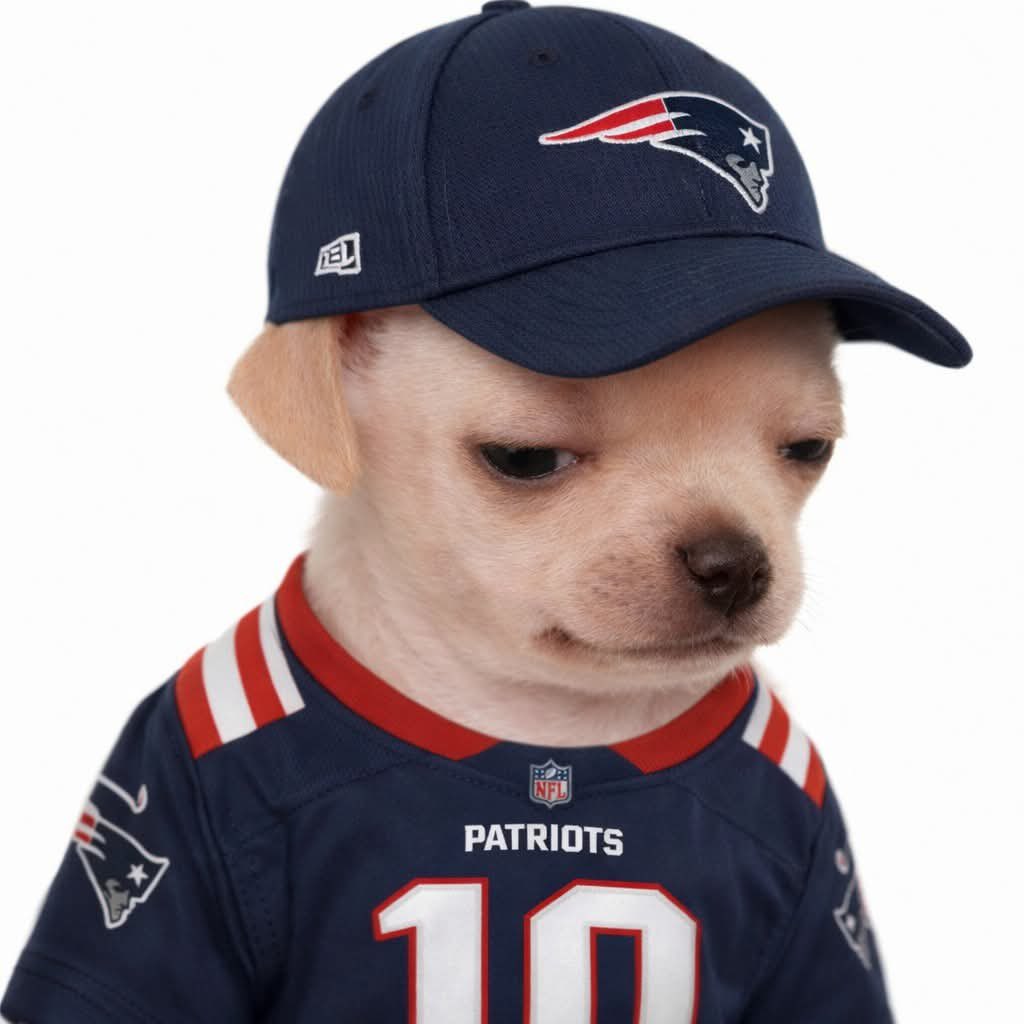 patriotsgirl10_'s tweet image. Buenos y crudos días…