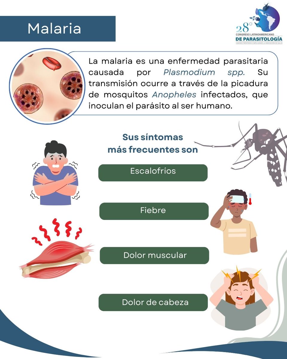 FLAP2026 tweet media