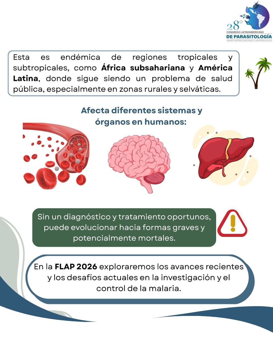 FLAP2026 tweet media