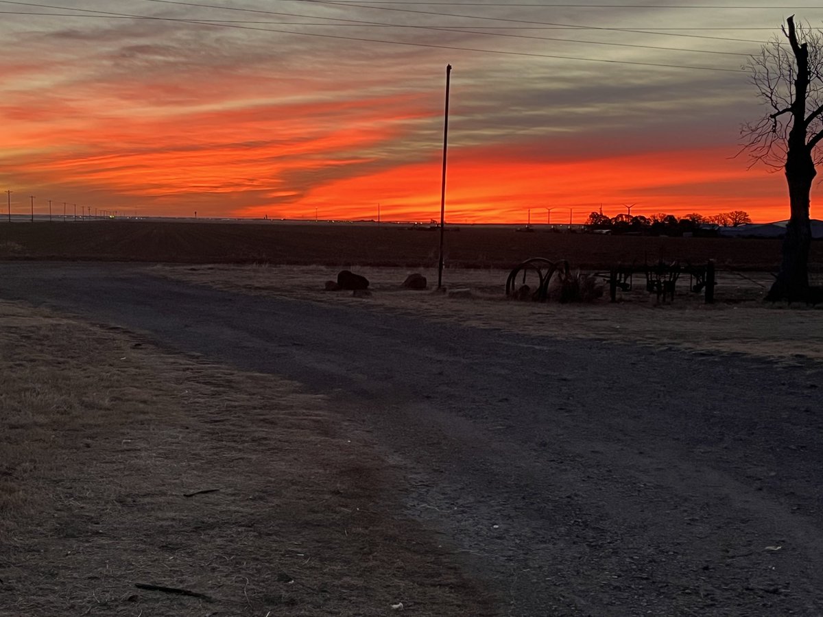 Lloyd Arthur tweet media