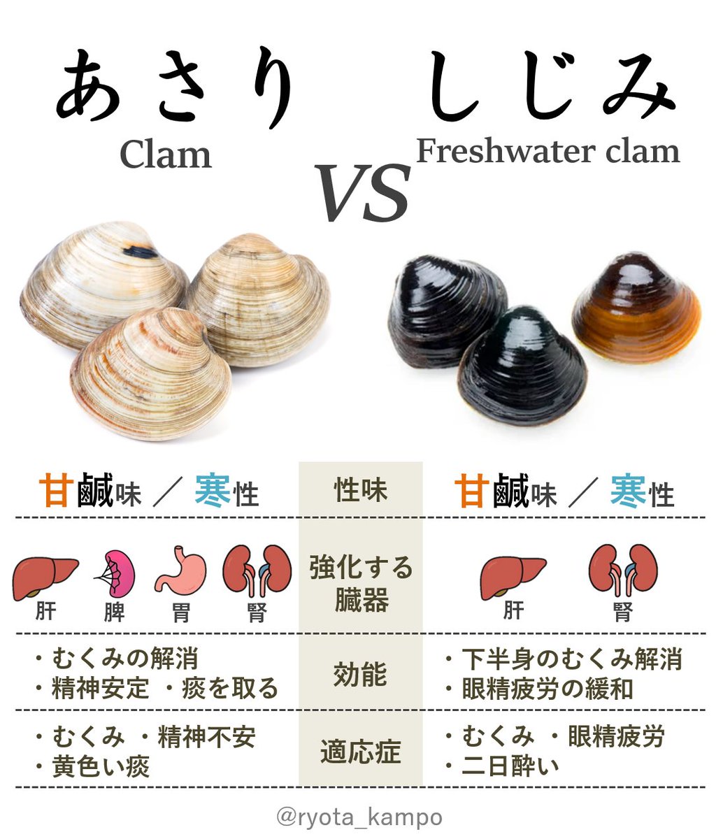 ryota_kampo's tweet photo. アサリとシジミの効果を薬膳の視点で比べてみると、アサリは４つの内臓を強化して体全体のむくみを取り精神を安定させる。対してシジミは２つの内臓にしか作用しないし、「下半身のむくみ」なんて効果も限定的。これだとあさりの方が優秀に見えるけど、実はシジミは肝や腎をピンポイントでケアする分、効果が現れやすい。「何となくの不調にアサリ」、「疲れ目や二日酔い効果を発揮するシジミ」って感じで使い分けるのがいい