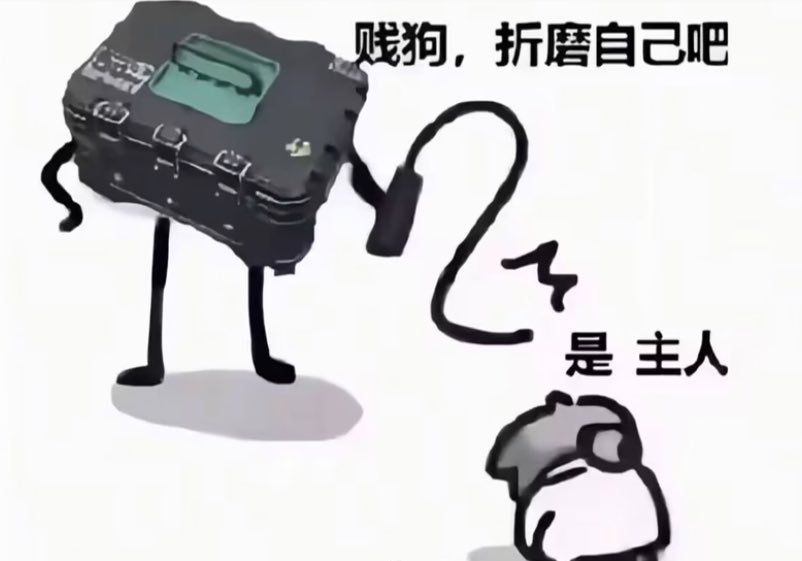 龙姬 tweet media