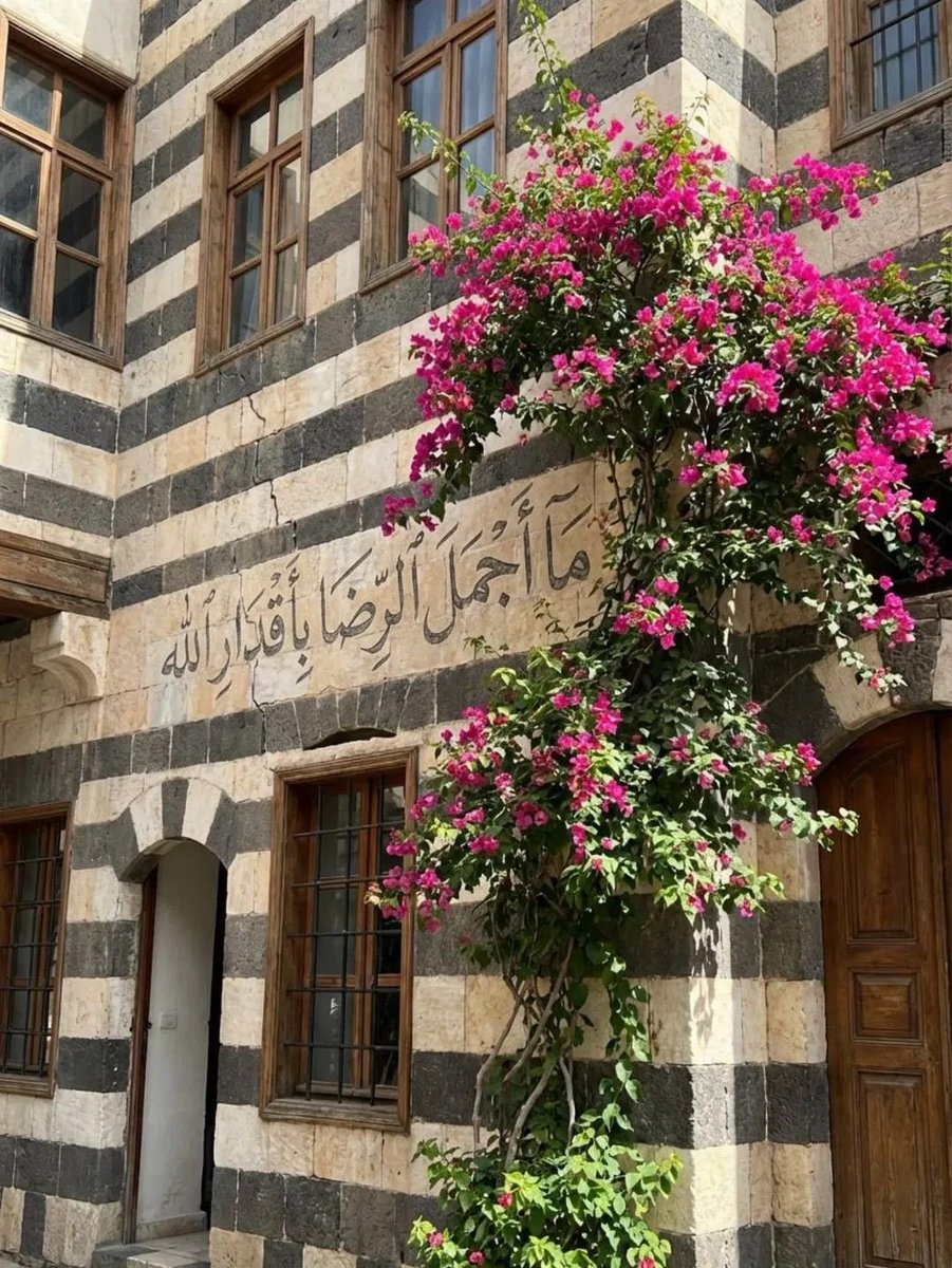 syrianvibes's tweet image. دمشق🌸