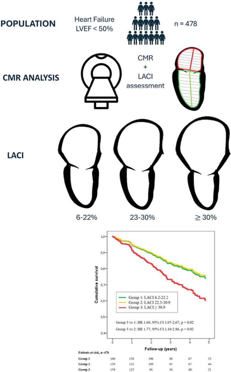 SEIC - Sociedad Española de Imagen Cardíaca tweet media