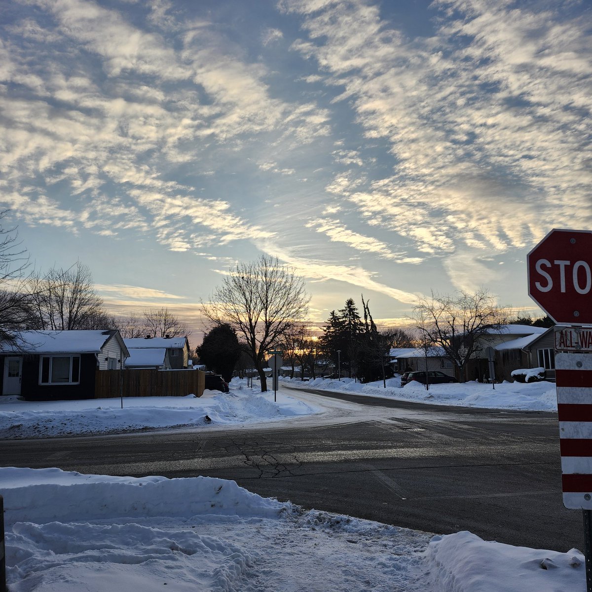 Bronagh Morgan tweet media