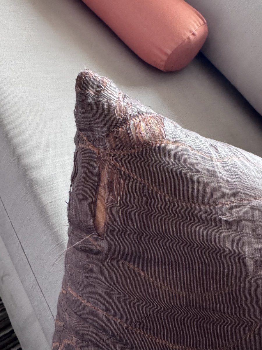 selimepcacan's tweet photo. @thermalparkk odalar çok kötü ve eski temizlik kötü odalardaki yastıklar yırtık bornozlar lekeli havlular etrafı yırtık çalışalar ellerinden geleni yapıyor saygılılar onlara lafım yok ama otel yönetimi insana biraz saygı para kazanıyorsunuz biraz da düzgün hizmet olsun https://t.co/IZ7ze4aoT8