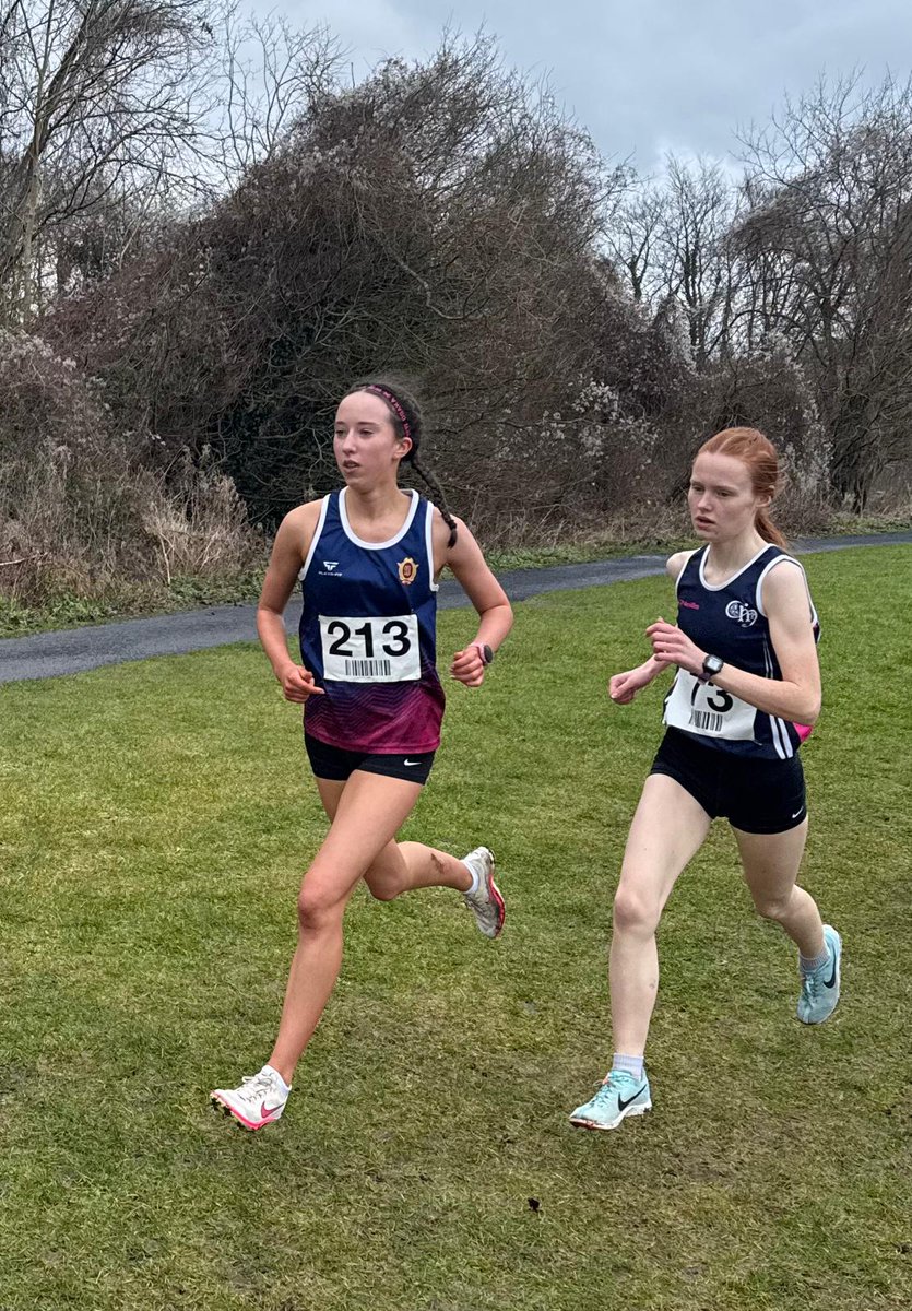 Laurel Hill Coláiste tweet media