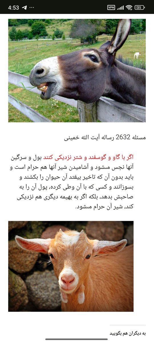 Pain and Curse🇮🇷 tweet media
