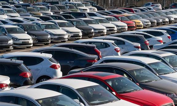 Millishield 01 🚘🌽🫑🌶🦈🐔 tweet media