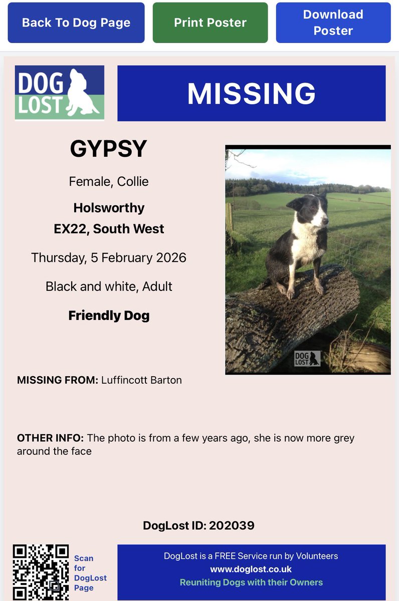 colliesontherun's tweet photo. GYPSY lost Luffincott Barton #Holsworthy #DEVON #EX22 5/2/26 
Black and white adult female BORDERCOLLIE
Friendly / CHIPPED 

PHOTO IS FROM A FEW YEARS AGO, SHE IS MORE GREY AROUND THE FACE 

https://t.co/kcqxAxWnmh

@Holsworthy_Golf @CPHolsworthy @qu1ncey @LisaLisaw1 @HunnyJax https://t.co/fTe8DMr9sy