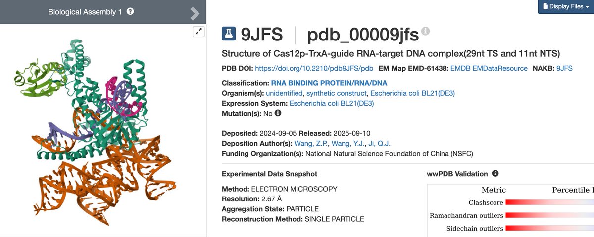 OMUXΩ∞KUT-ASI Junki Kanamori (@MLB_Connection) on X