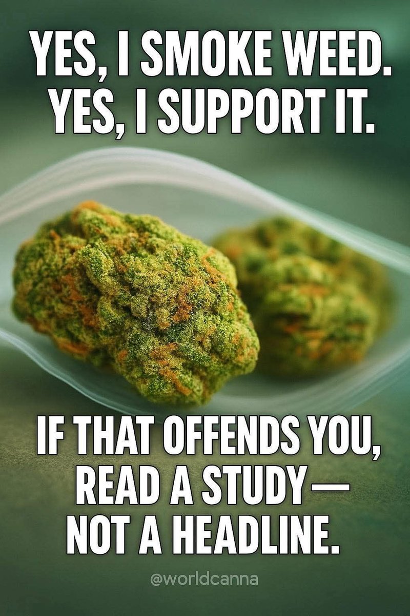 Tracy Goudreau (@tracygoudreau1) on Twitter photo 