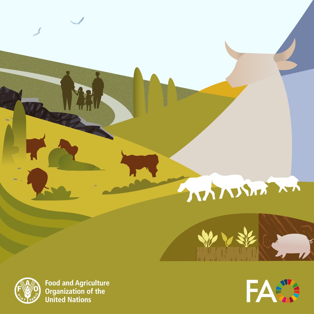 FAO Livestock tweet media