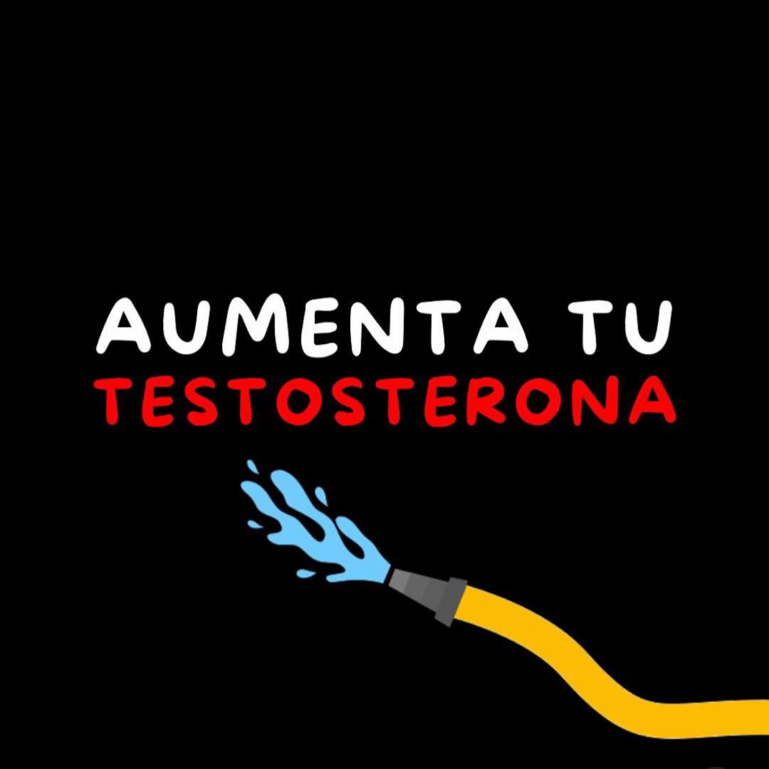 8 formas de aumentar tu Testosterona Naturalmente...

--Hilo--
